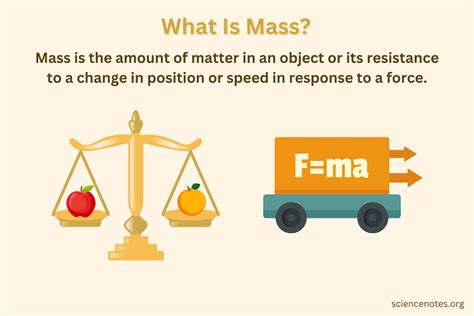 mass definition music: In the realm of electronic dance music, how does the genre of house music embody the spirit of mass definition?